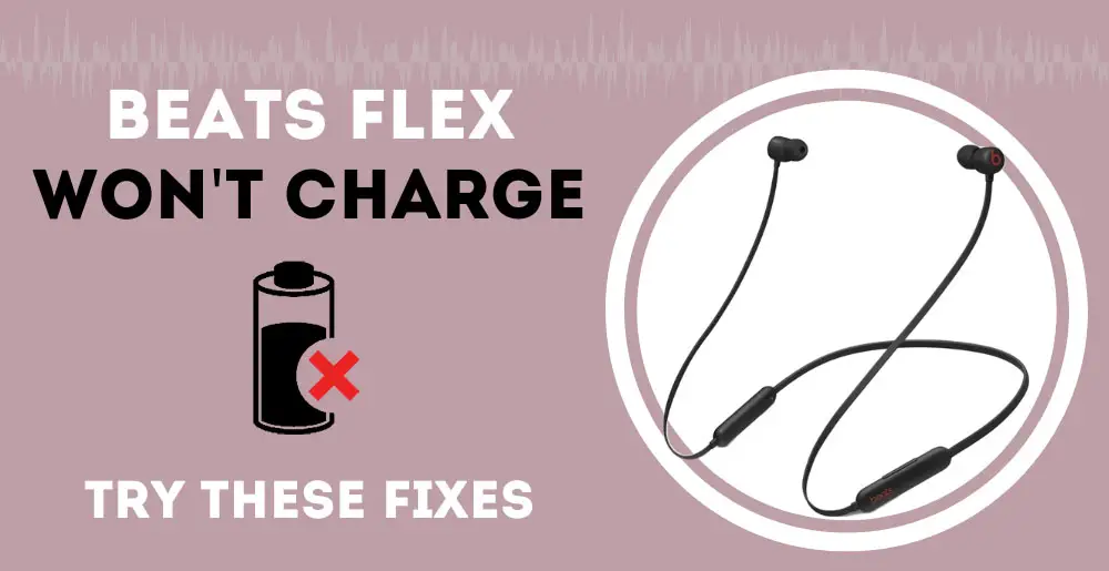 Beats Flex Not Charging
